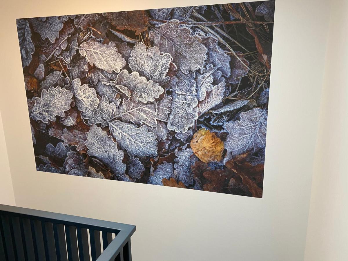 Residence La Poivriere Durbuy Zewnętrze zdjęcie